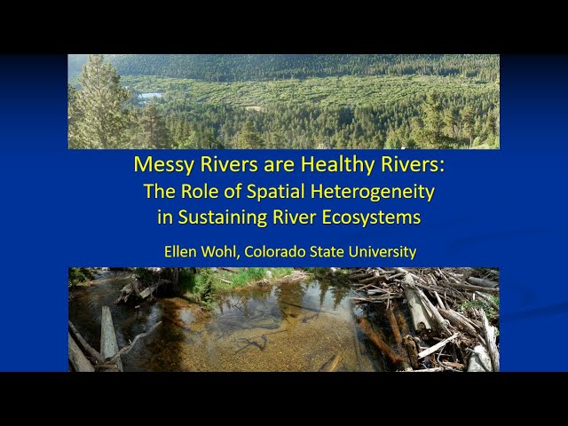 Ellen Wohl "Messy Rivers" Make-Up Presentation- February 12, 2020