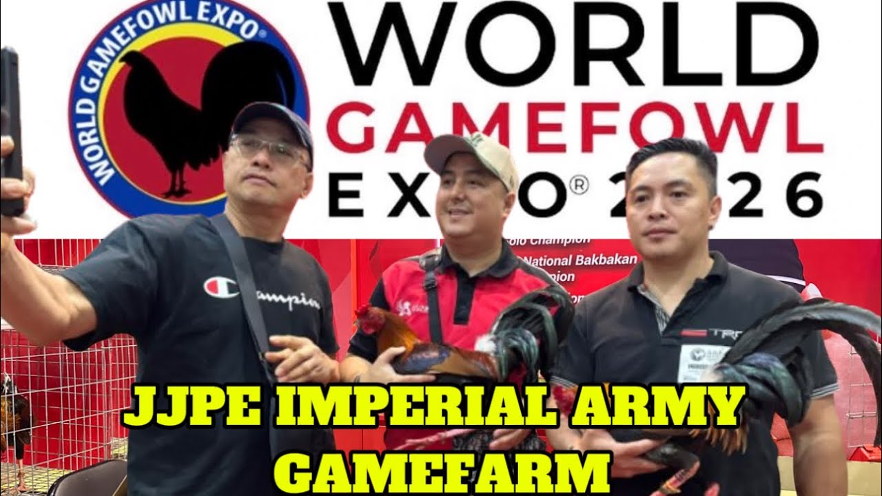 World Gamefowl Expo 2026 Jjpe Imperial Army Gamefarm || Reggie Boi