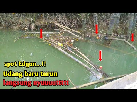 Video: Penawaran Memancing Terbaik Di Hari Perdana 2021: Penawaran Saat Ini