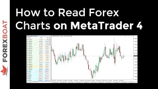 How To Read Forex Charts On MetaTrader 4 How To Read Forex Charts On MetaTrader 4
