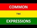 Please, Welcome, Thank You in Twi | Common Twi Expressions | Twi Language Conversation