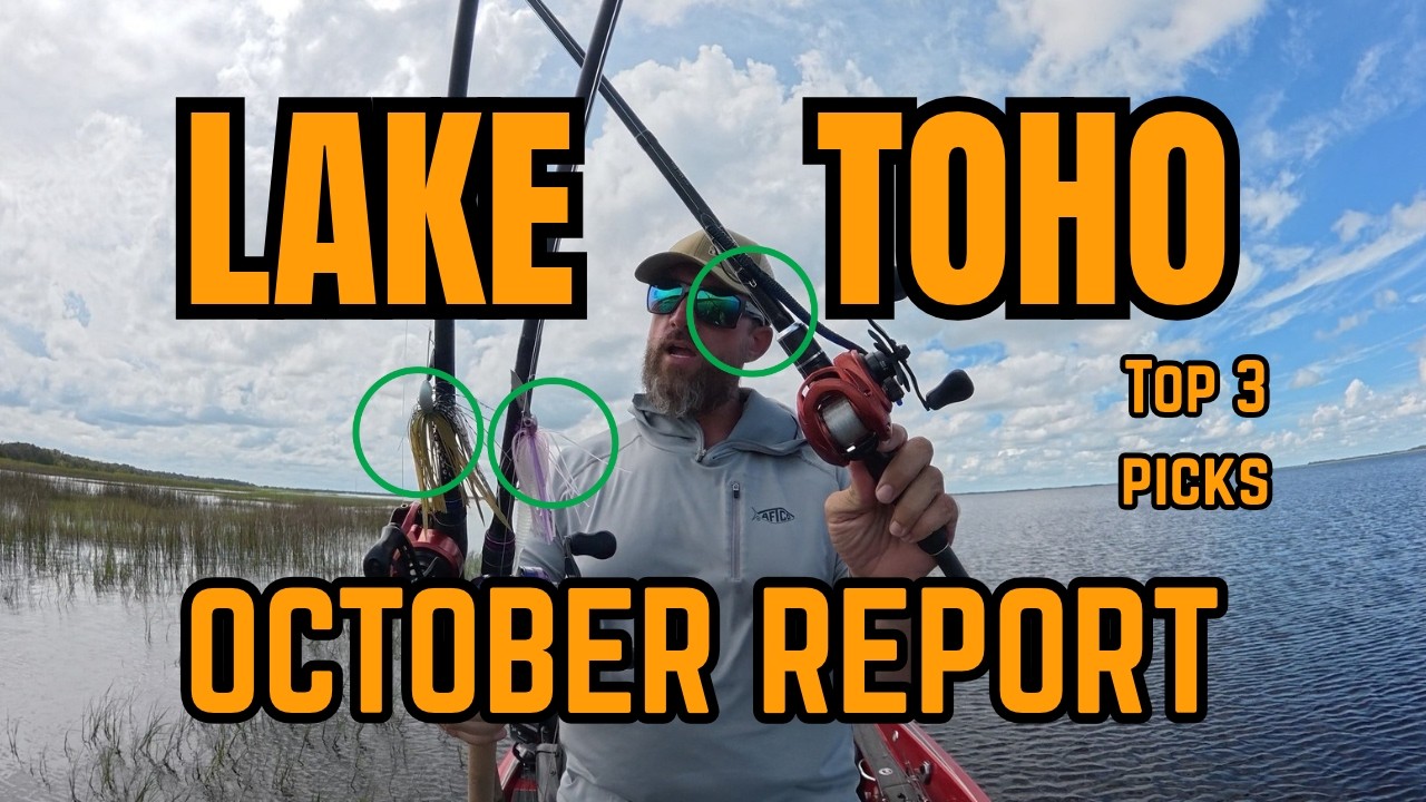 Lake Toho Fishing Report | Lake Toho Top 3 Bait Picks for October