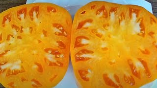 Топ 5 желтых, солнечных сортов томатов - самых вкусных, сладких, урожайных