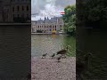 The Hague: Where Nature Meets Culture