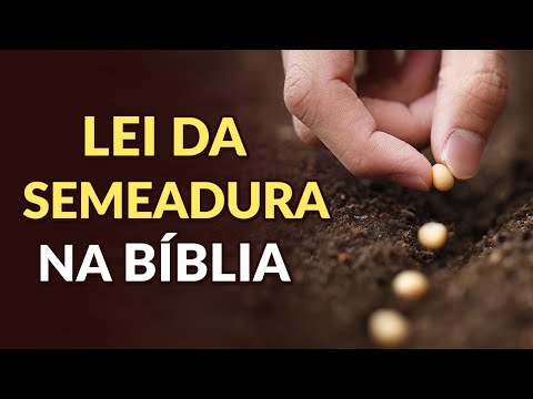 Vídeo: Qual é a outra palavra para plantação?