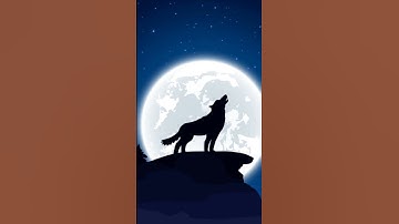 Thumbnail of Wolf howling |Wolf View | Wolf sound | Wolf | #wolf #howling
