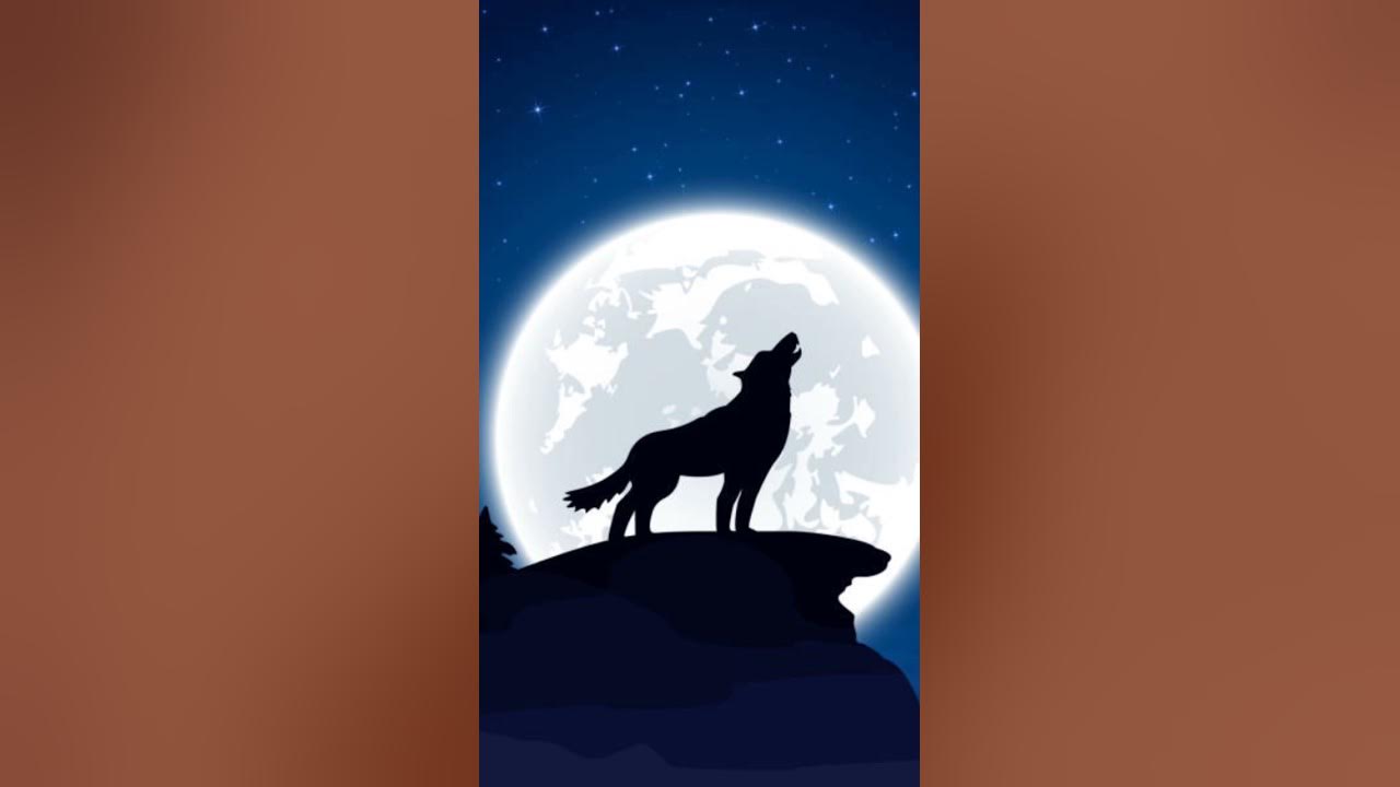 Wolf howling |Wolf View | Wolf sound | Wolf | #wolf #howling