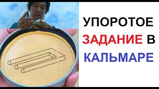 Лютые приколы. Упоротое задание в кальмаре