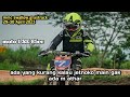 Moto 1 se 85 balap mmc swallow grastrack 2023  jetnoko  07 vs soletho 103