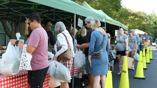 Shop Local at the Holly Springs Farmers Market