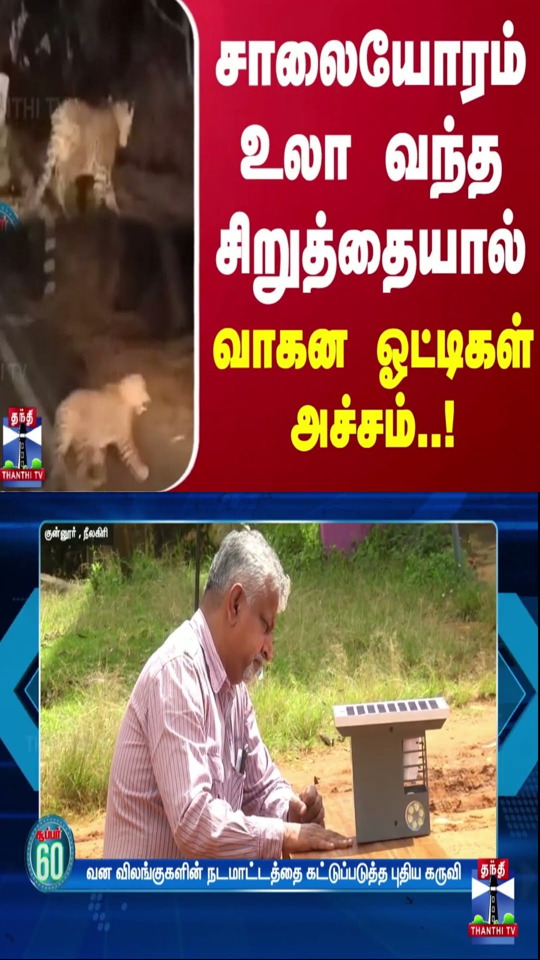 சாலையோரம் உலா வந்த சிறுத்தையால் வாகன ஓட்டிகள் அச்சம்..! | Nilgiris