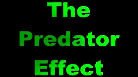 Predator Effect Test.