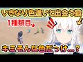 【白上フブキ】金コイを追い求めていたら、いきなり2種類の色違いと出会って大興奮する白上さんｗ【切り抜き/ホロライブ/ポケモンSV】