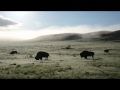 Early morning in Grasslands National Park