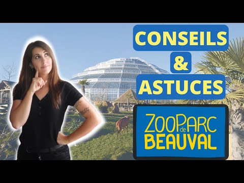 Astuces et Conseils Zoo de Beauval ( mes trucs pour  organiser au mieux sa journée)