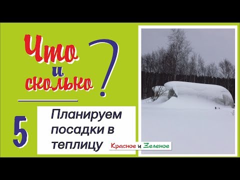 Планируем посадки в теплице. Максимальная отдача с кв.м. и здоровые овощи