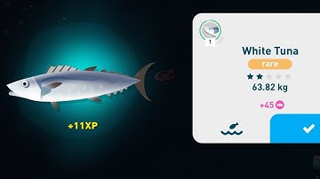 Creatures of the deep - finding white tuna