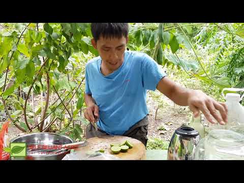 การทำสมุนไพรลดอาการไอสูตรโบราณ