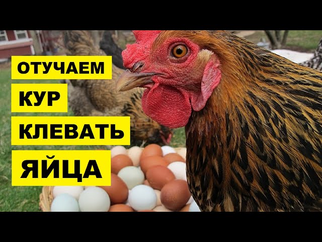 Методы устранения – как решить проблему, что сделать