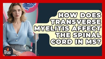 How Does Transverse Myelitis Affect The Spinal Cord In MS? - MS Support Network