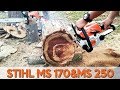 PERFORMA CHAINSAW STIHL MS 170 & MS 250