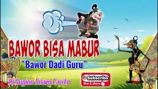 Bawor Dadi sekti Bisa Mabur Bisa Ambles Bumi Berkah ngimpi dicokot Kebo | Ki Sugino Siswo Carito