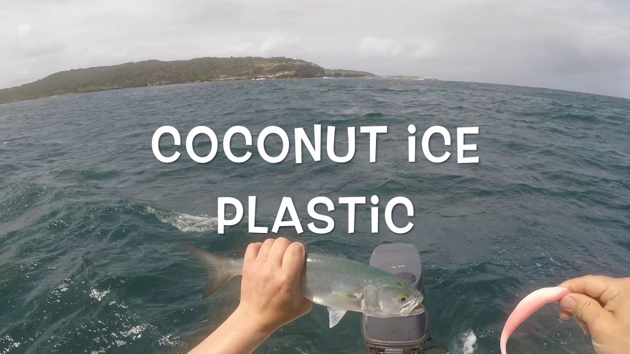 Tailor Fishing Botany Bay