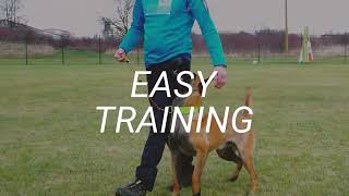 Heelwork training with Active Touch - working-dog.com