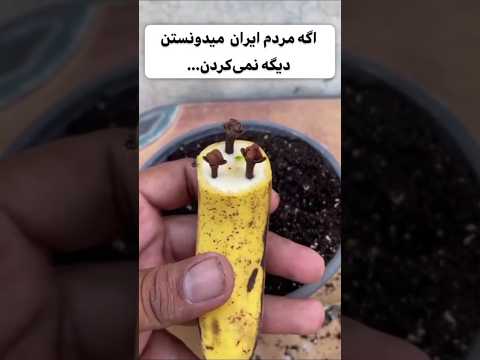 اگه مردم ایران اینو می دونستن دیگه این کارو نمی کردن ایران افغانستان مو ریزش مو رویش مجدد مو