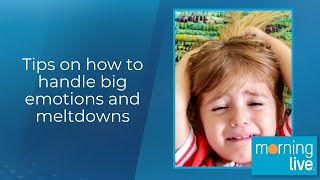 Tips on how to handle big emotions and meltdowns