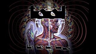 Celebrity Lateralus - TOOL | Drop C Tuning Net Worth