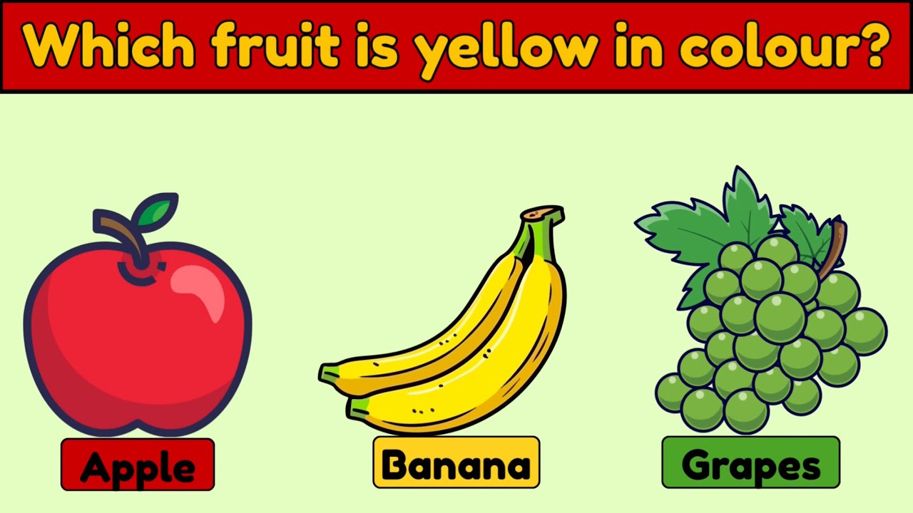 GK Quiz 🧠 | 20 General Knowledge Questions for Kids | Fun Learning Game @YuviSharmaQuiz_tv25 