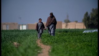 タリバンと平和は築けるのか？　BBC記者がアフガニスタンで取材
