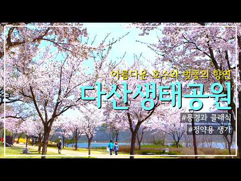 [풍경과 클래식] 17. 아름다운 호수와 벚꽃의 향연, 다산생태공원｜정약용 생가｜풍경과 클래식