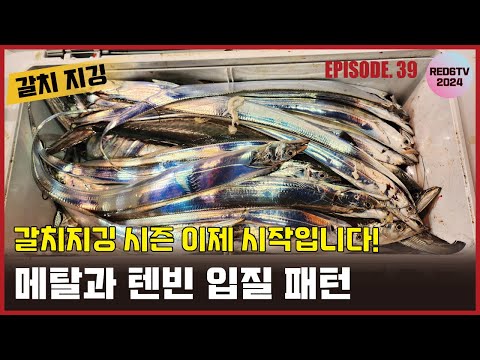 갈치지깅 - 가을철 메탈과 텐빈의 입질 패턴