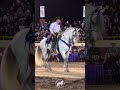 Caballo bailador AQUILES Jinete DANIEL TORRES