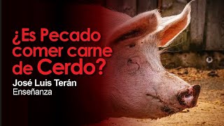 Es Pecado comer Carne de Cerdo Estudio Biblico Jose Luis Teran