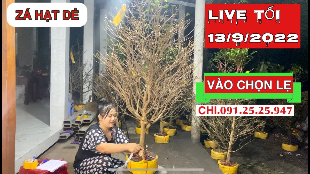 Live giao lưu mai giảo thủ đức ngày 13/9/2022| MVCG - youtube
