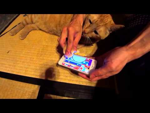 太鼓の達人