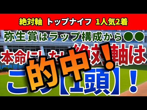 弥生賞ディープインパクト記念2023【絶対軸1頭】公開！トライアル特有のペースに注目すべき一戦！絶対軸は持久力勝負に強いアノ馬一択！