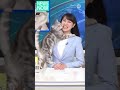 放送事故！突然の来客にニュース終了w
