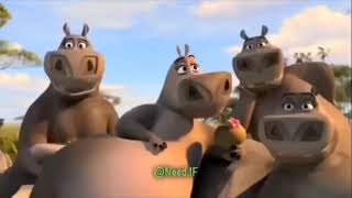 🎬Todo o charme de Moto Moto em Madagascar 2 #cinefilos #animação #d