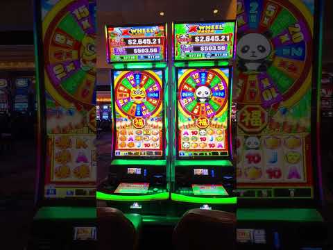 hola soy Luciana cajera de bingo le creo su usuario gratis 🍀🍀🍀con toda la suerte