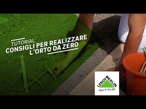 Video: Come Attrezzare Un Orto Su Un Davanzale Con Un Bambino