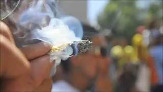 La Envidia Los Mata/BEBO SORIA FT PANICK FT CHUY 3B FT MELON