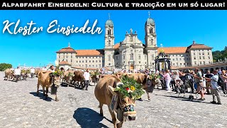 Grosse Alpabfahrt Einsiedeln Com As Vaquinhas Mais Lindas Da Suíça Cattle Drive Einsiedeln