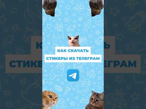 КАК СКАЧАТЬ СТИКЕРЫ ИЗ ТЕЛЕГРАМ (2024) #стикеры #телеграм #телеграмм #telegram