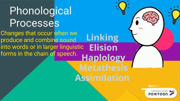 English Phonological Processes