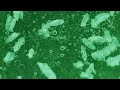 Viruses and bacteria