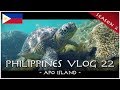 Apo Island Sea Turtles - PHILIPPINES VLOG 22